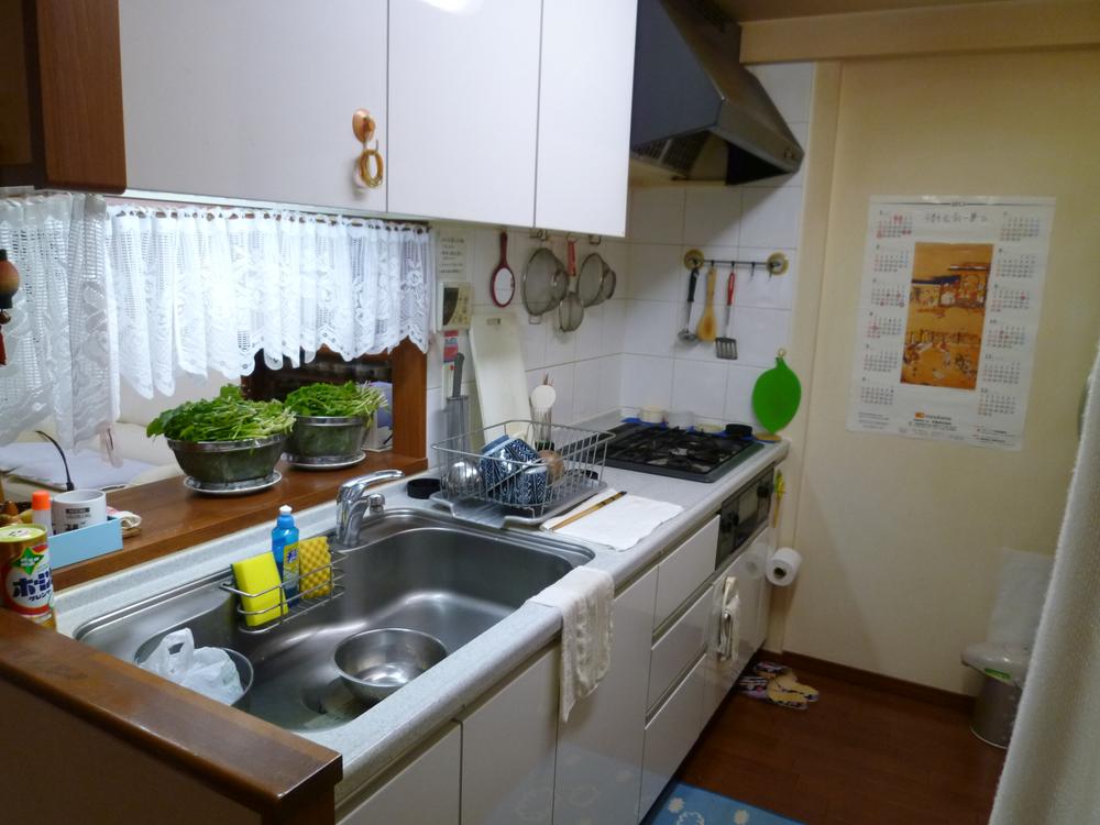 Kitchen. State of the kitchen
