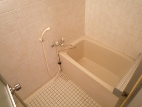 Bath. Bus there is a shower
