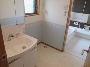 Wash basin, toilet. Indoor (September 2013) Shooting