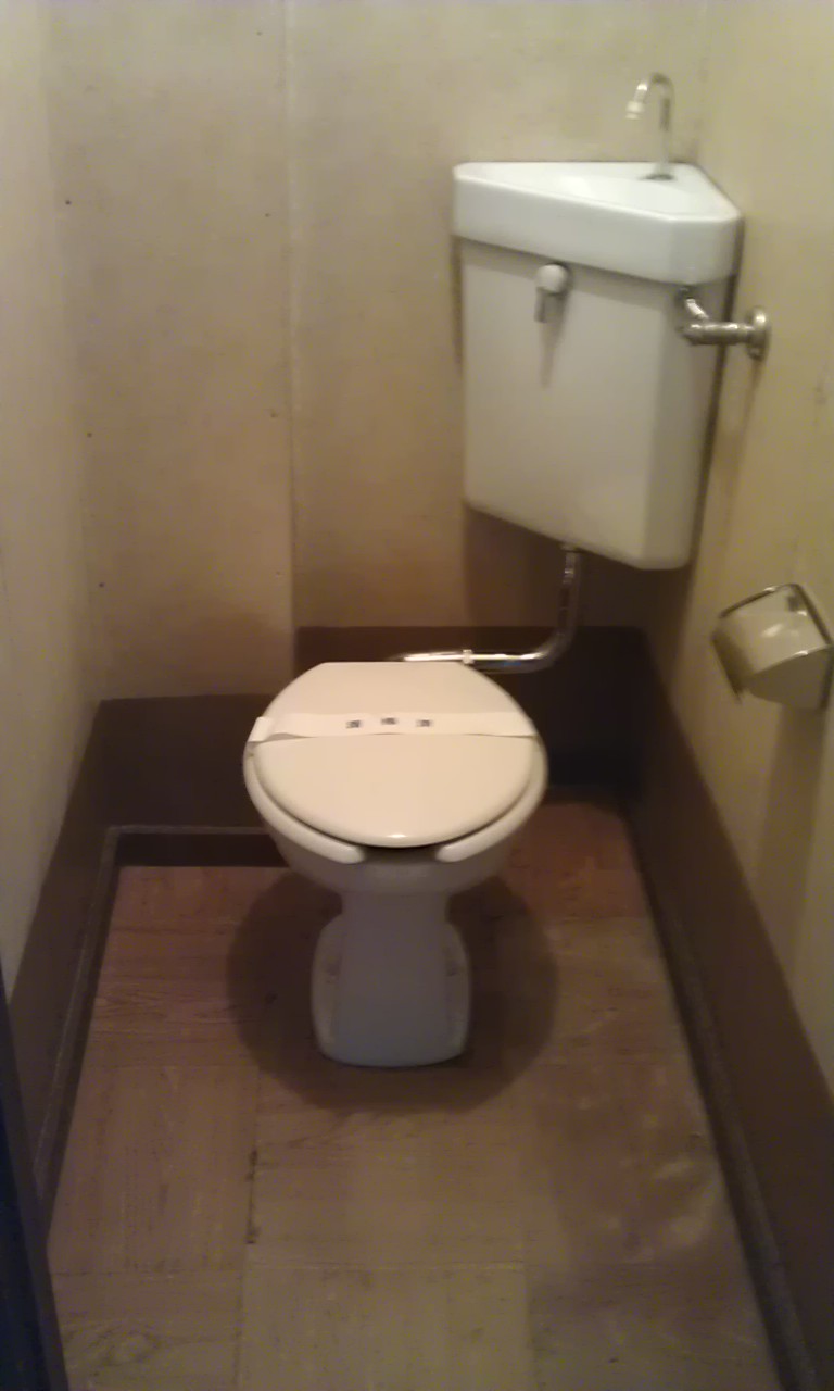 Toilet