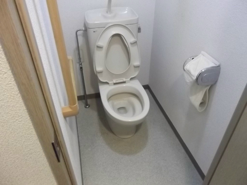 Toilet. Toilet