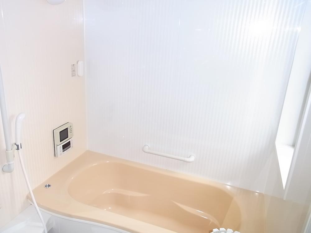 Bathroom. Indoor (10 May 2013) Shooting