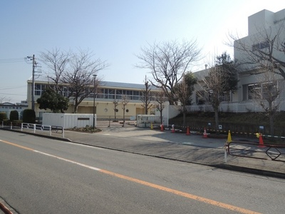 Primary school. 646m to Yokohama Municipal kotsubo elementary school (elementary school)