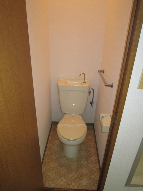 Toilet. Warm water washing toilet seat installation Allowed