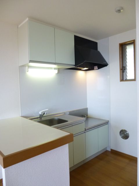 Kitchen. Convenient kitchen there is also counter