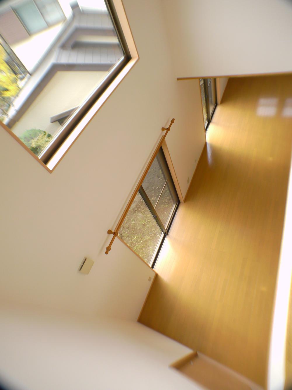Other introspection. Atrium