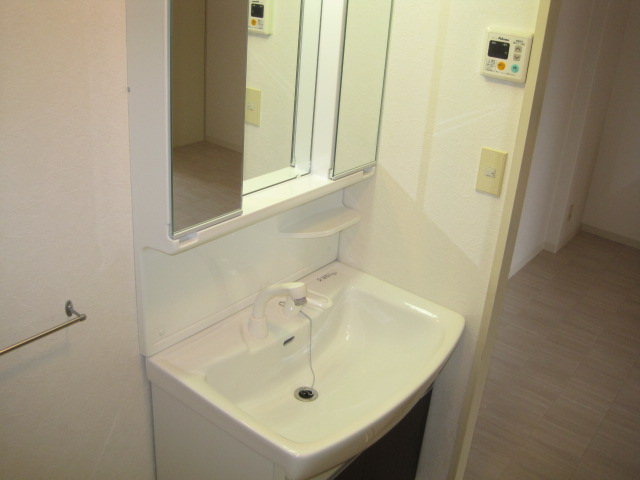 Washroom. Washbasin with shower
