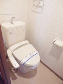 Toilet. It comes with happy Washlet.