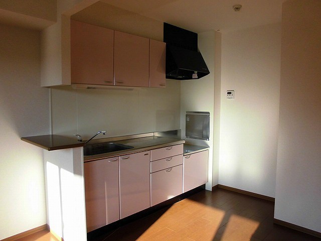 Kitchen. Kitchen