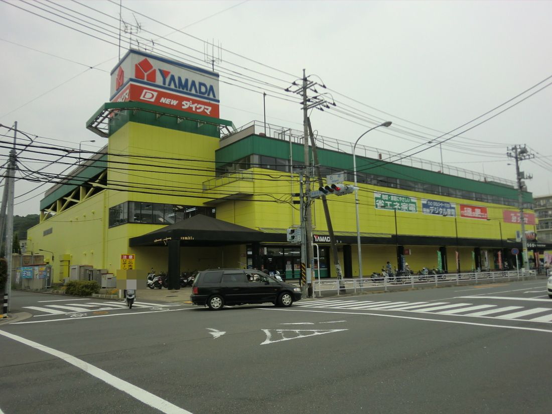 Other. Yamada Denki Tecc Land Ueyama shop