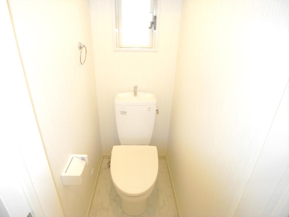 Same specifications photos (Other introspection). The company example of construction (toilet)