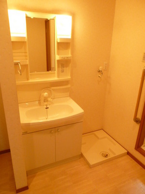 Washroom. Glad Bathroom Vanity ・ Indoor Laundry Storage