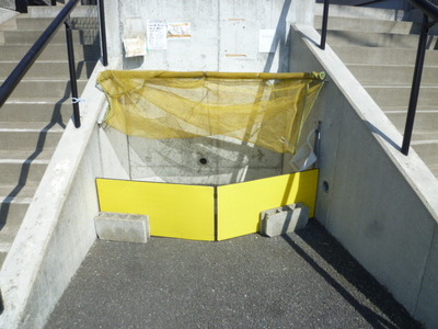 Other common areas. There Komi storage on site