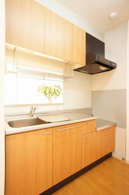 Kitchen. Hanging shelf There is also excellent storage capacity of kitchen