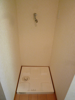 Other. There are washing machine storage in the room