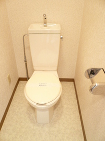 Toilet. It will be in the photo of the room with a different same floor plan.