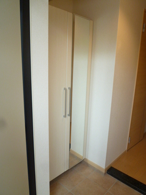 Entrance. Shoes BOX is also plenty of