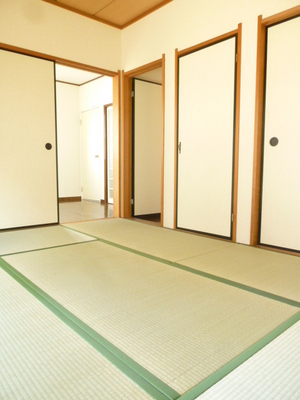 Living and room. I think it is indeed a Japanese-style room if Japanese