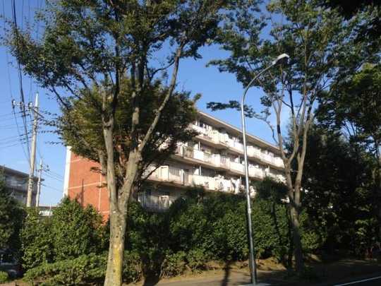 Local appearance photo. Appearance from the property south (1)