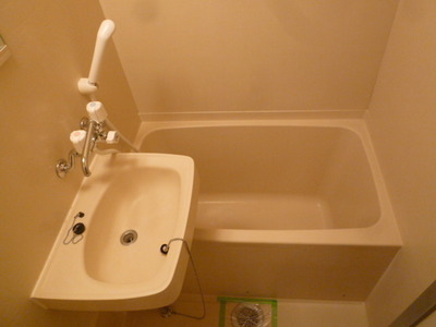 Bath. Beautiful bathroom