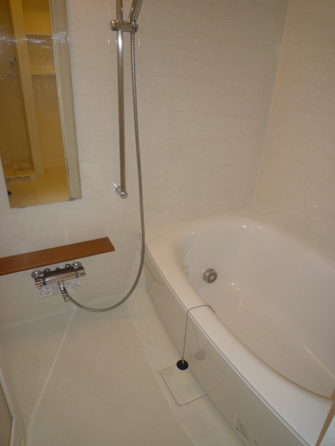 Bath. Spacious bathroom