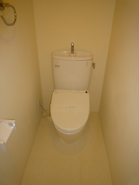Toilet. Western-style toilet