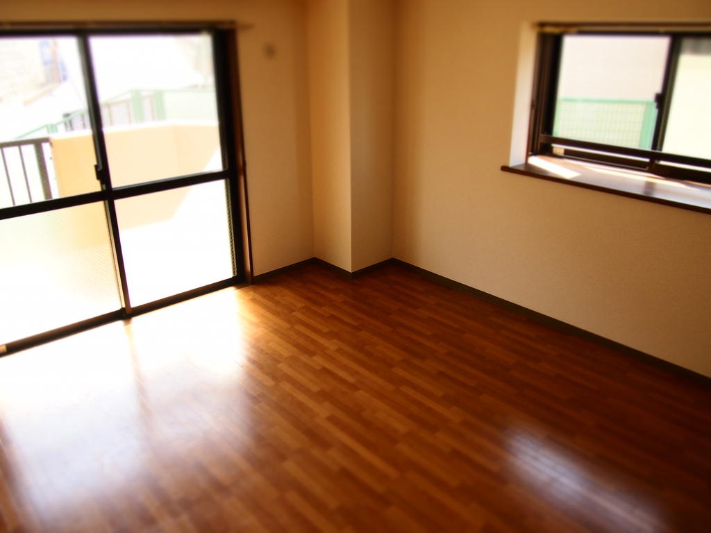 Living and room. LD9.5 Pledge bay window Two-sided lighting