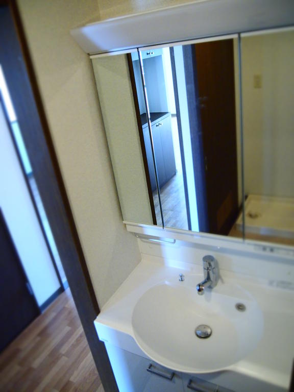 Washroom. Bathroom vanity There presence
