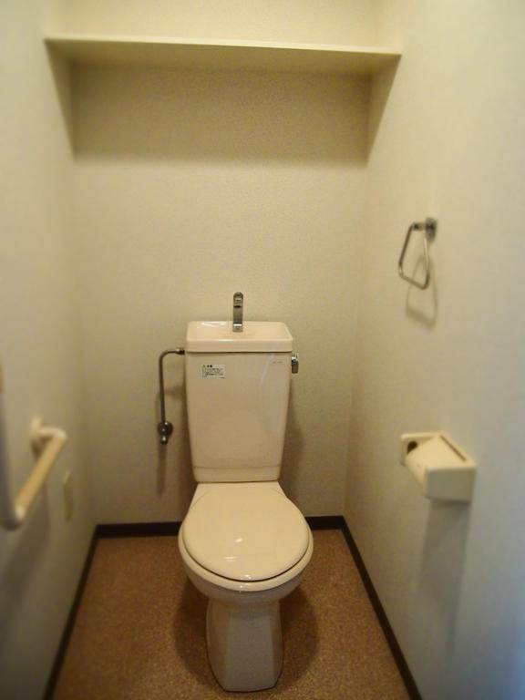 Toilet. A rare type that width With handrail