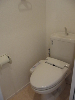 Toilet. There is warm water washing toilet seat