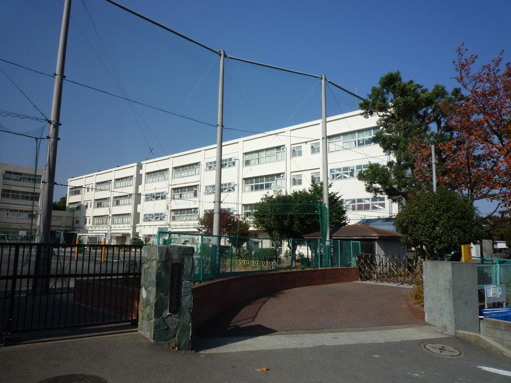 Other. There is a wide ground Miho Elementary School