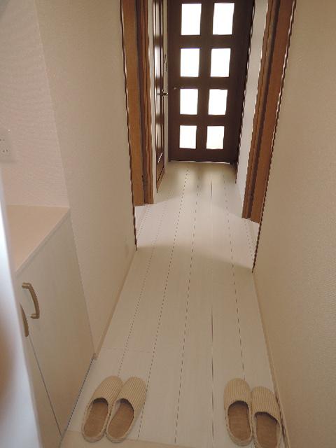 Other introspection. Corridor as seen from the front door