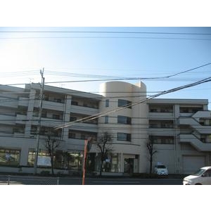 Building appearance