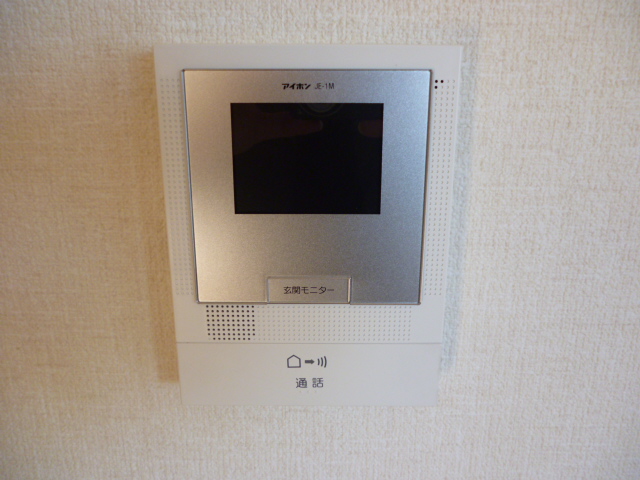 Security. Intercom with TV monitor
