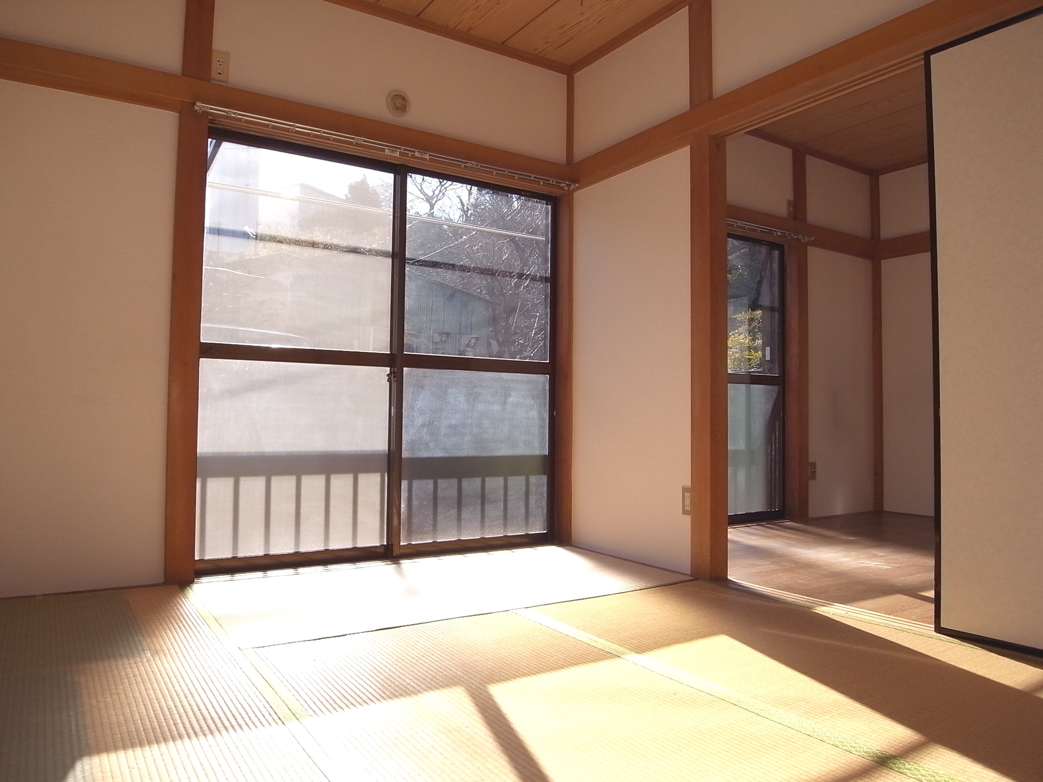 Living and room. Interior