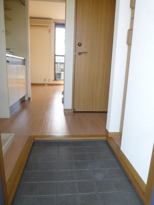 Entrance. There shoes BOX in the front door