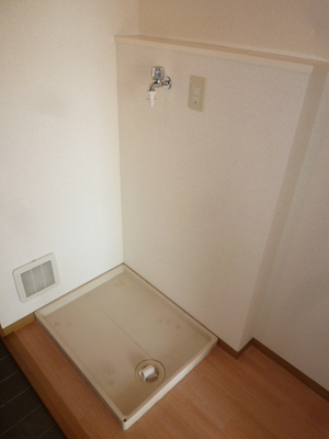 Other. There are washing machine storage in the room