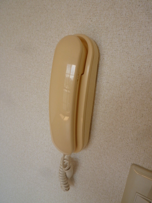 Security. With peace of mind intercom
