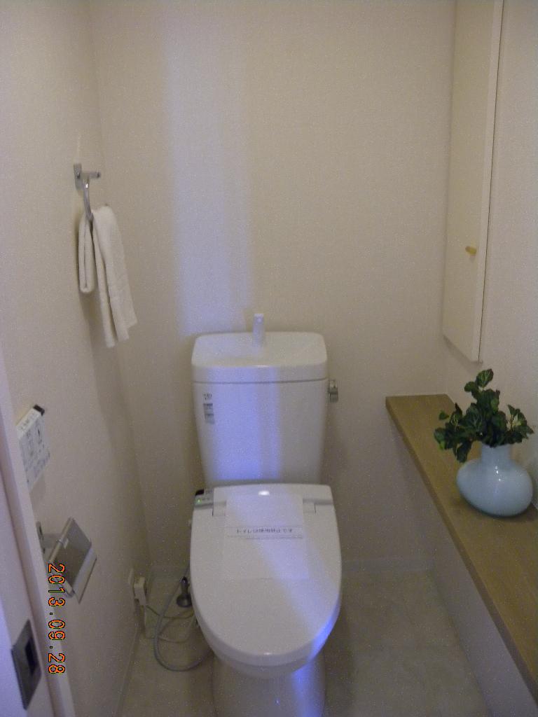Same specifications photos (Other introspection). Same specifications toilet