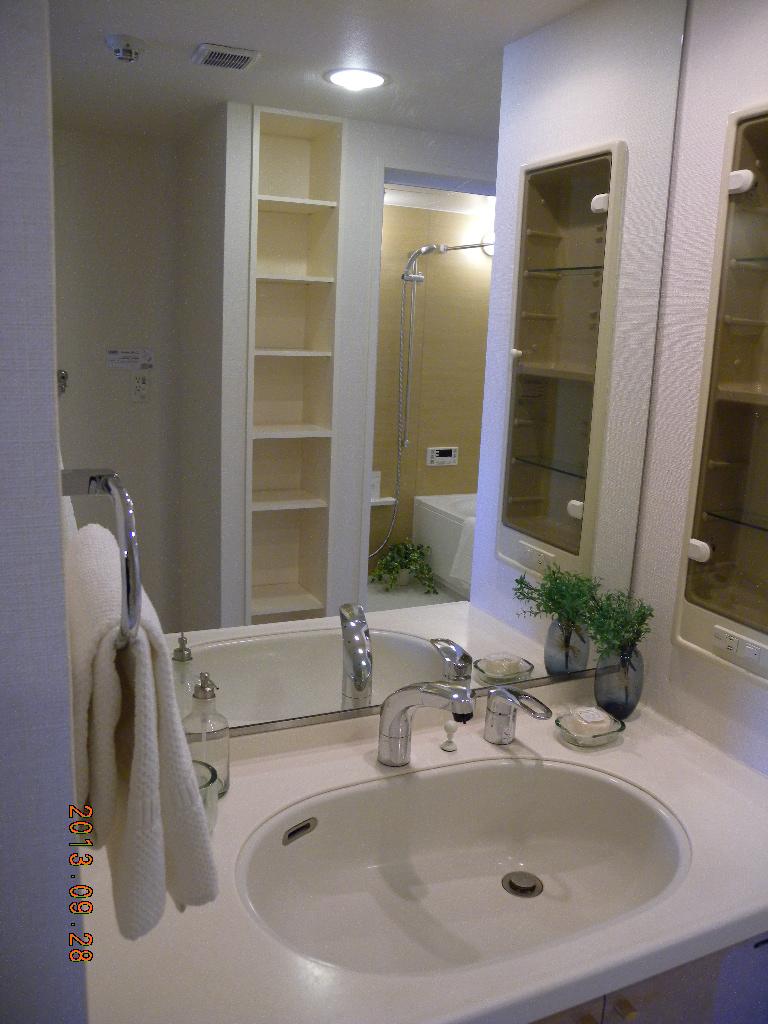 Same specifications photos (Other introspection). Same specifications basin