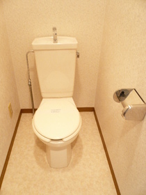 Toilet. It can be installed If you have a bidet.