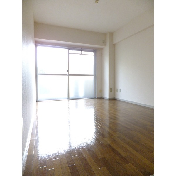 Living and room. A bright room