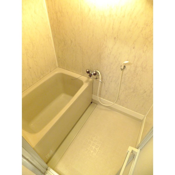 Bath. Spacious bathroom