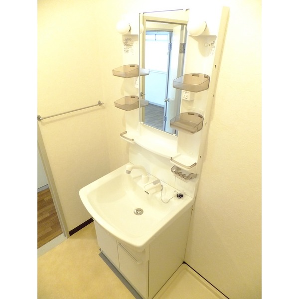 Washroom. Shampoo dresser