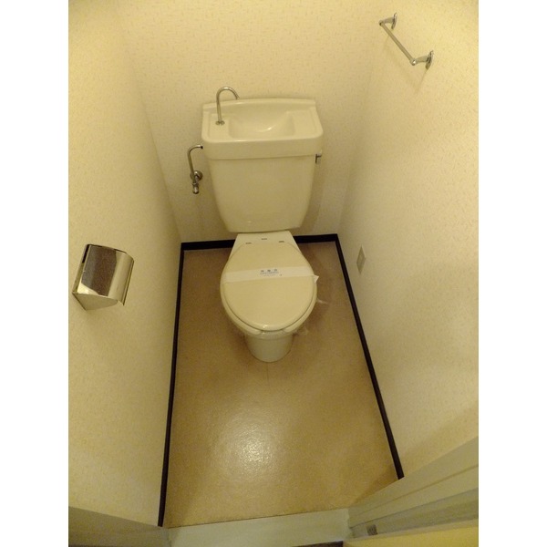 Toilet. Toilet