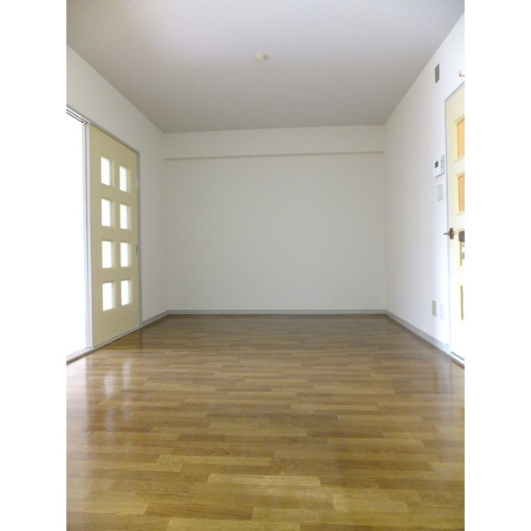 Living and room. Bright LDK