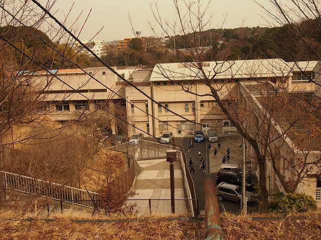 Junior high school. 1573m to Yokohama City Tatsunaka mountain junior high school (junior high school)