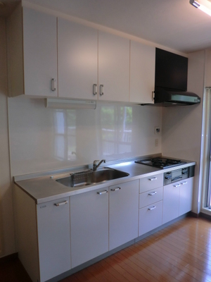 Kitchen. Kitchen