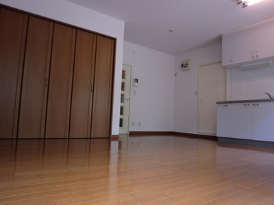 Living and room. Living room 3