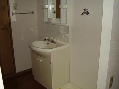 Washroom. Independent wash basin